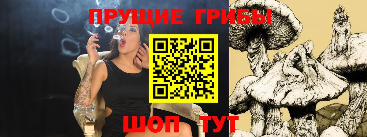 Галлюциногенные грибы MAGIC MUSHROOMS  Вход с VPN  Волхов 