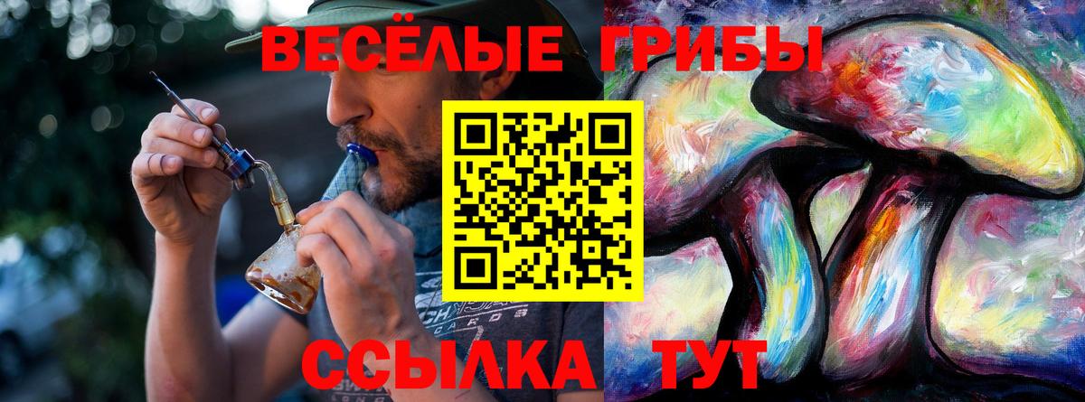 Псилоцибиновые грибы Psilocybine cubensis Волхов