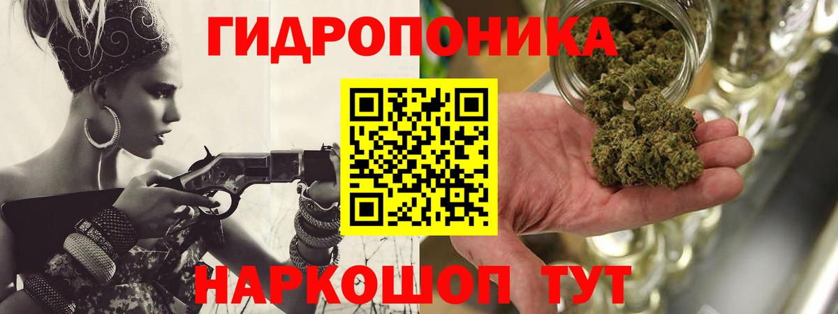 Шишки марихуана OG Kush  Шишки марихуана OG Kush  Вход с VPN  Канабис индика  Бошки марихуана Amnesia  Волхов 