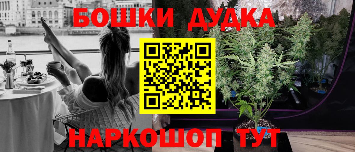 Шишки марихуана марихуана Волхов